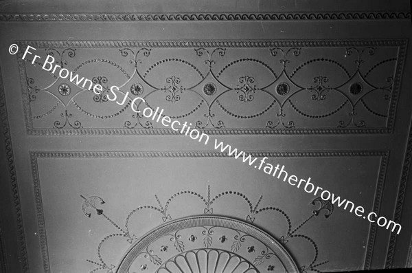 ABBEYLEIX HOUSE  CEILING OF DRAWING ROOM